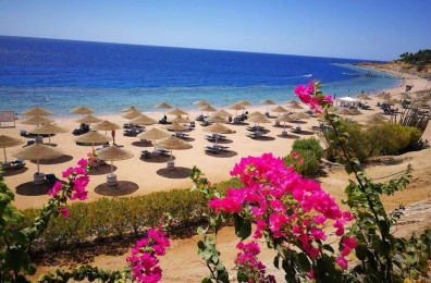 Domina Coral Bay Harem