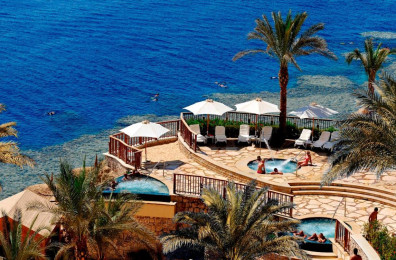 Reef Oasis Blue Bay